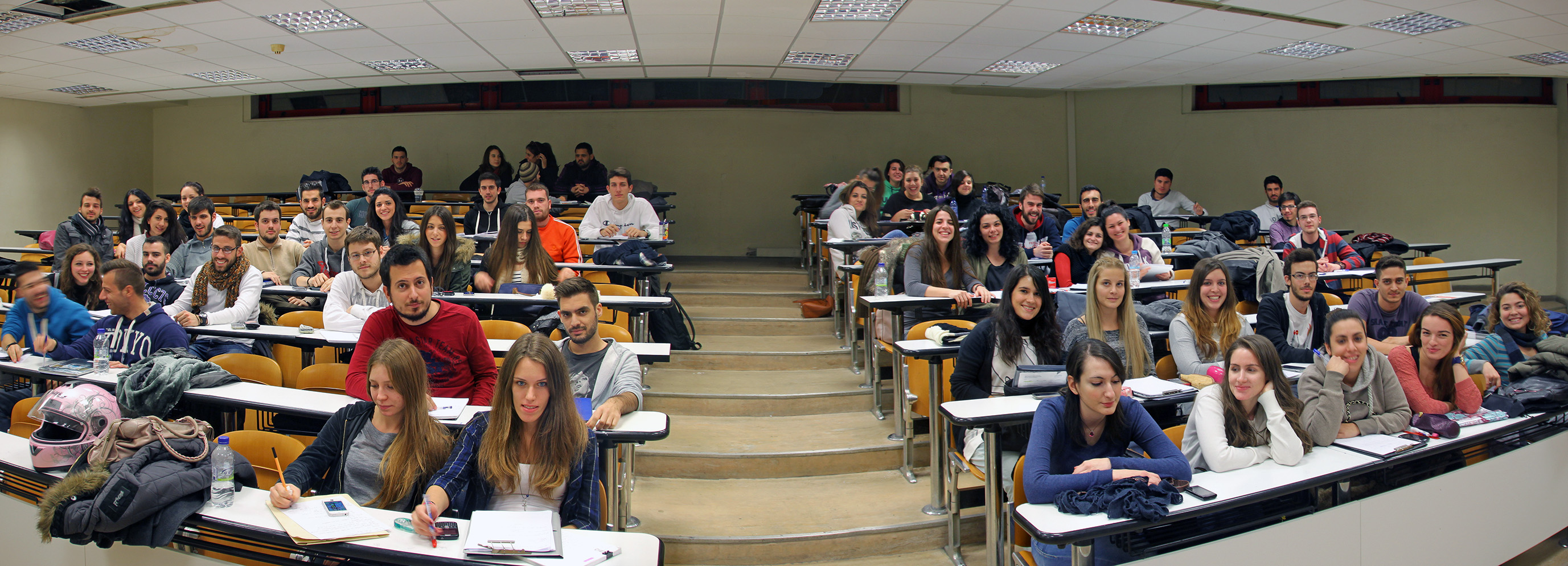 Undergraduate Studies 