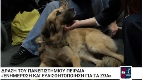 ΦΙΛΟΖΩΙΚΗ ΔΡΑΣΗ ΠΑΝΕΠΙΣΤΗΜΙΟΥ ΠΕΙΡΑΙΩΣ