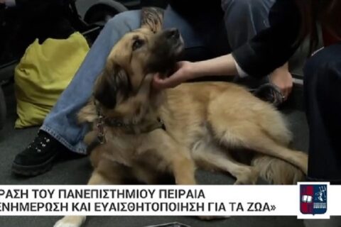 ΦΙΛΟΖΩΙΚΗ ΔΡΑΣΗ ΠΑΝΕΠΙΣΤΗΜΙΟΥ ΠΕΙΡΑΙΩΣ